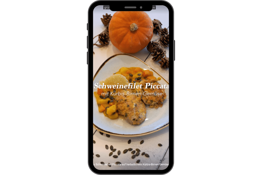 Schweinefilet-Video